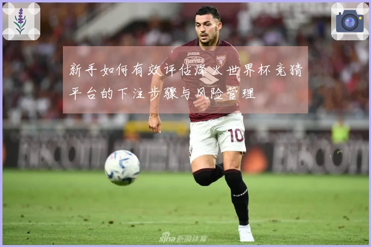 新手如何有效评估烽火世界杯竞猜平台的下注步骤与风险管理