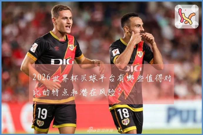 2026世界杯买球平台有哪些值得对比的特点和潜在风险？