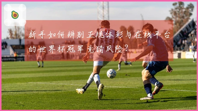 新手如何辨别正规体彩与在线平台的世界杯冠军竞猜风险？
