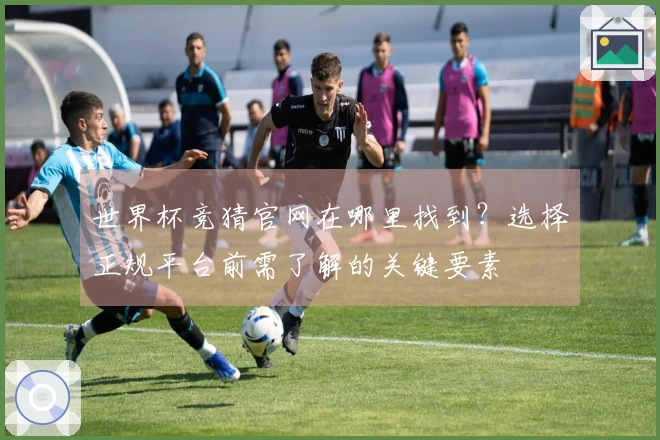 世界杯竞猜官网在哪里找到？选择正规平台前需了解的关键要素