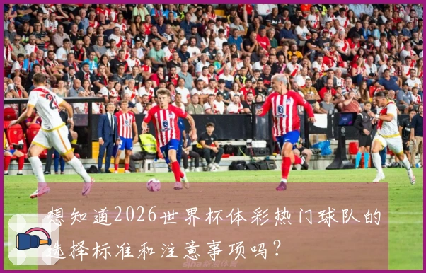 想知道2026世界杯体彩热门球队的选择标准和注意事项吗？