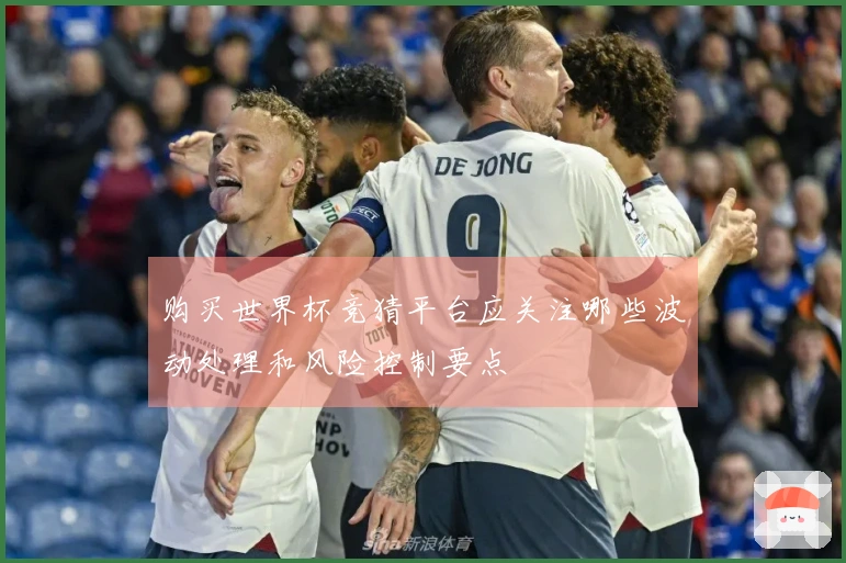 购买世界杯竞猜平台应关注哪些波动处理和风险控制要点
