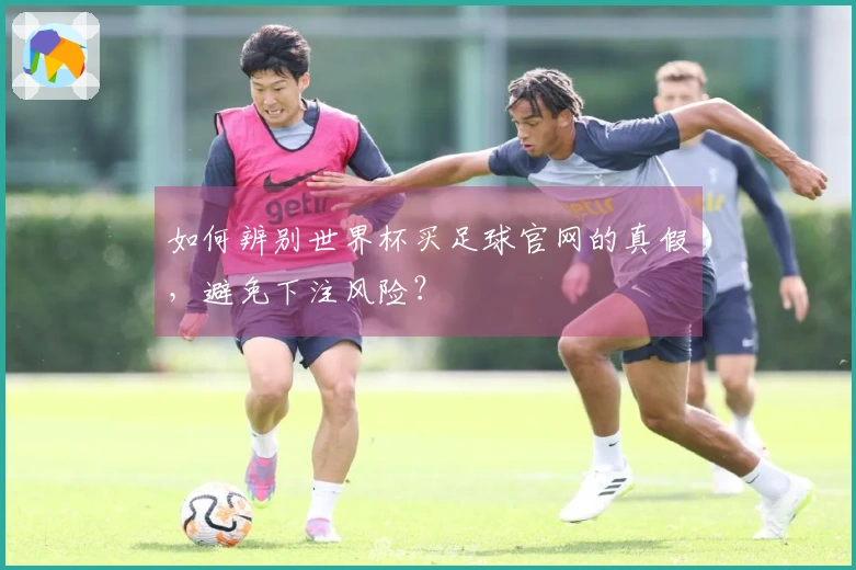 如何辨别世界杯买足球官网的真假，避免下注风险？