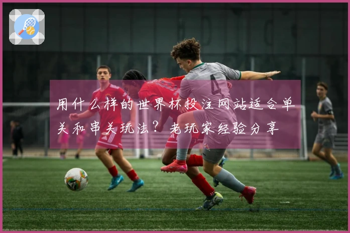 用什么样的世界杯投注网站适合单关和串关玩法？老玩家经验分享