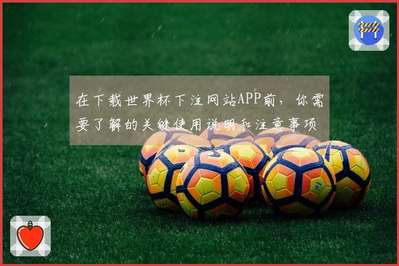 在下载世界杯下注网站APP前，你需要了解的关键使用说明和注意事项
