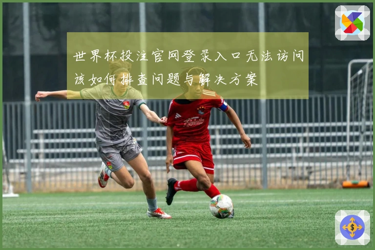 世界杯投注官网登录入口无法访问该如何排查问题与解决方案