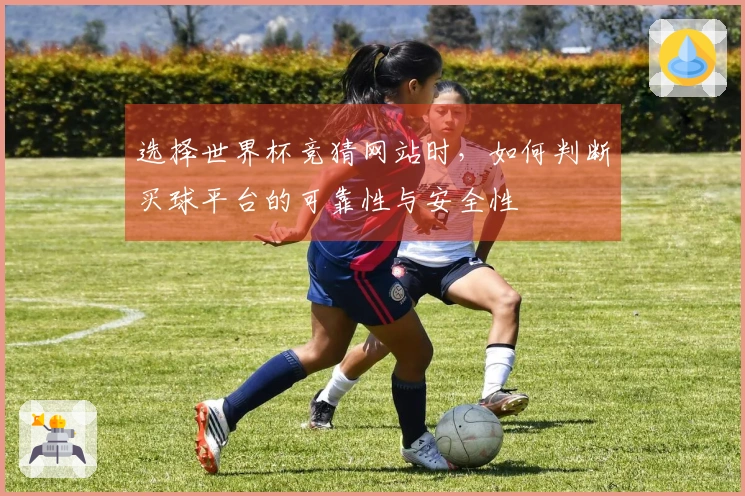 选择世界杯竞猜网站时，如何判断买球平台的可靠性与安全性