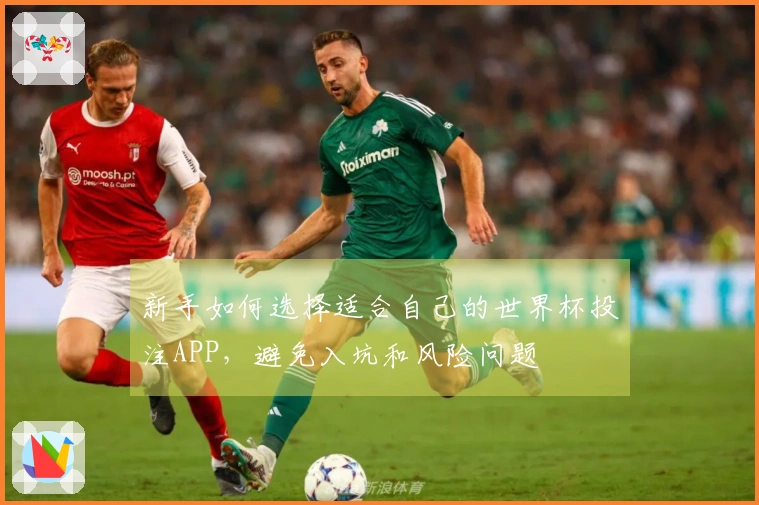 新手如何选择适合自己的世界杯投注APP，避免入坑和风险问题