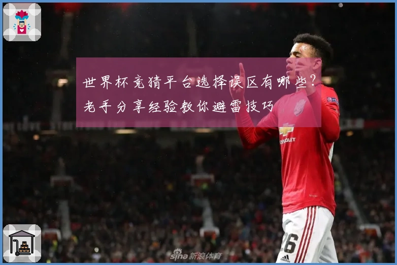 世界杯竞猜平台选择误区有哪些？老手分享经验教你避雷技巧