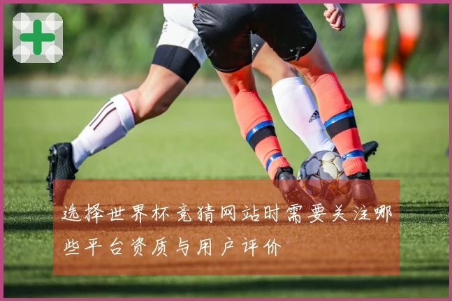 选择世界杯竞猜网站时需要关注哪些平台资质与用户评价