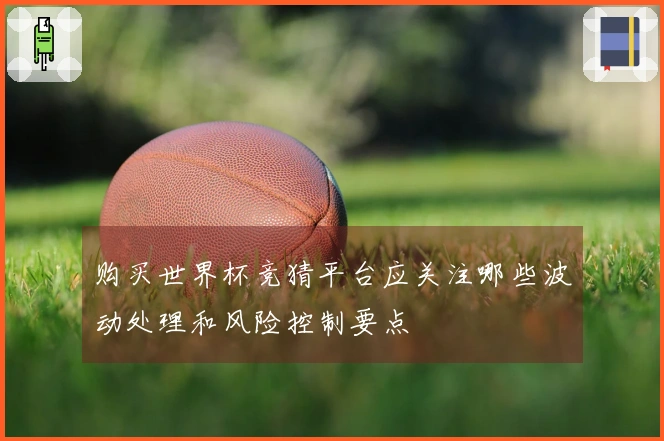 购买世界杯竞猜平台应关注哪些波动处理和风险控制要点