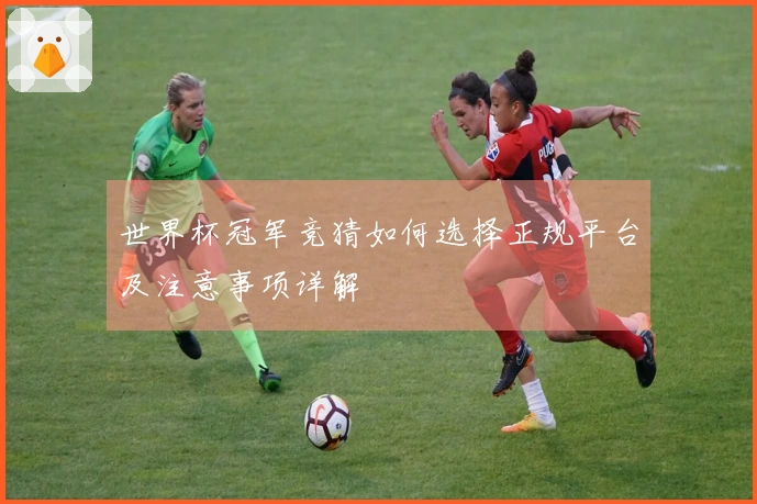 世界杯冠军竞猜如何选择正规平台及注意事项详解
