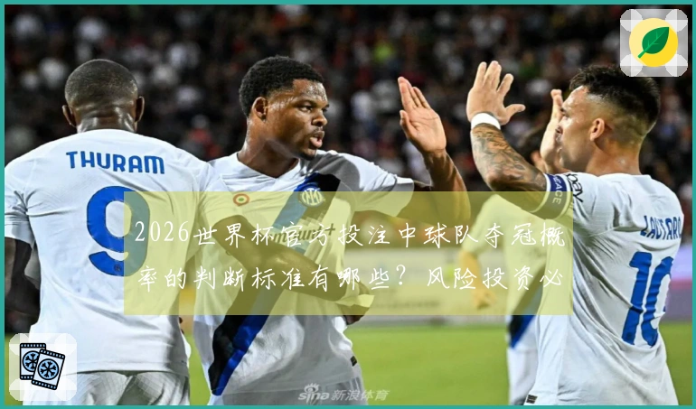 2026世界杯官方投注中球队夺冠概率的判断标准有哪些？风险投资必看！