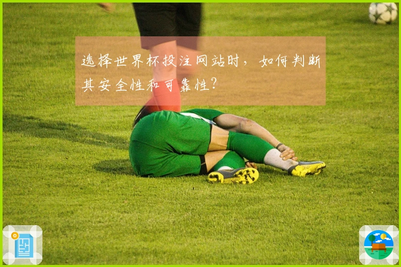 选择世界杯投注网站时，如何判断其安全性和可靠性？