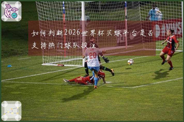 如何判断2026世界杯买球平台是否支持热门球队投注