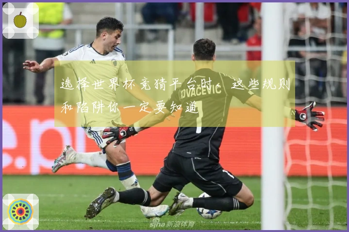 选择世界杯竞猜平台时，这些规则和陷阱你一定要知道