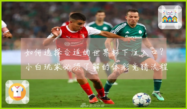 如何选择合适的世界杯下注入口？小白玩家必须了解的体彩竞猜流程与注意事项