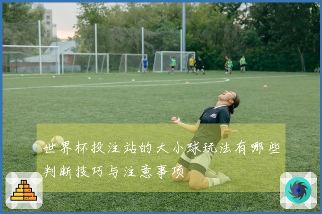 世界杯投注站的大小球玩法有哪些判断技巧与注意事项