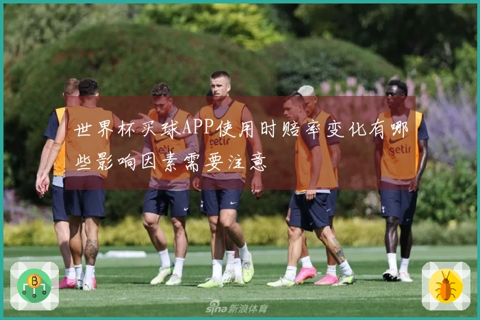世界杯买球APP使用时赔率变化有哪些影响因素需要注意