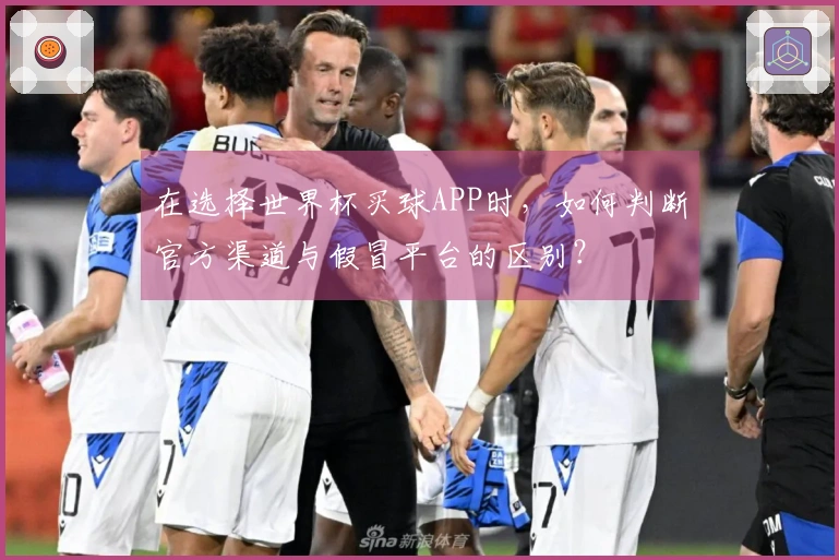 在选择世界杯买球APP时，如何判断官方渠道与假冒平台的区别？