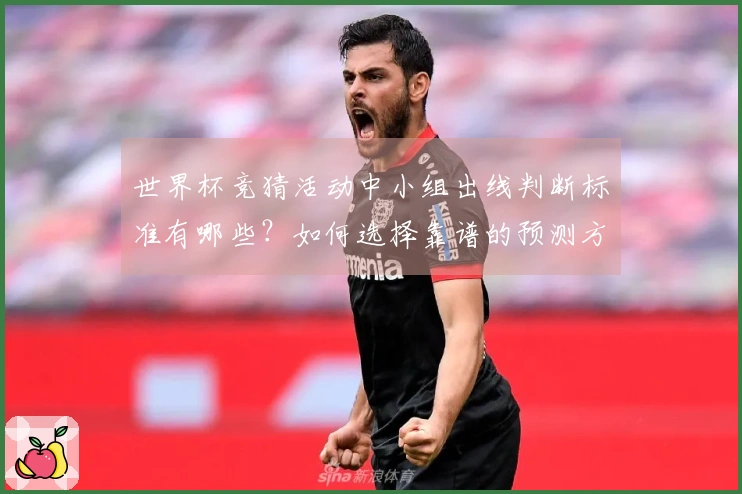 世界杯竞猜活动中小组出线判断标准有哪些？如何选择靠谱的预测方法？