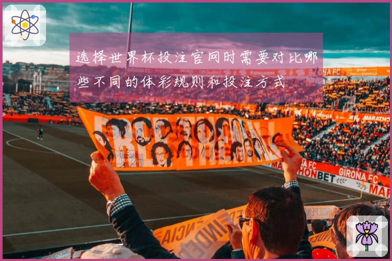 选择世界杯投注官网时需要对比哪些不同的体彩规则和投注方式