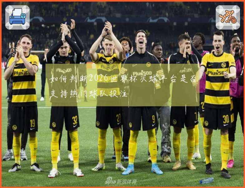 如何判断2026世界杯买球平台是否支持热门球队投注