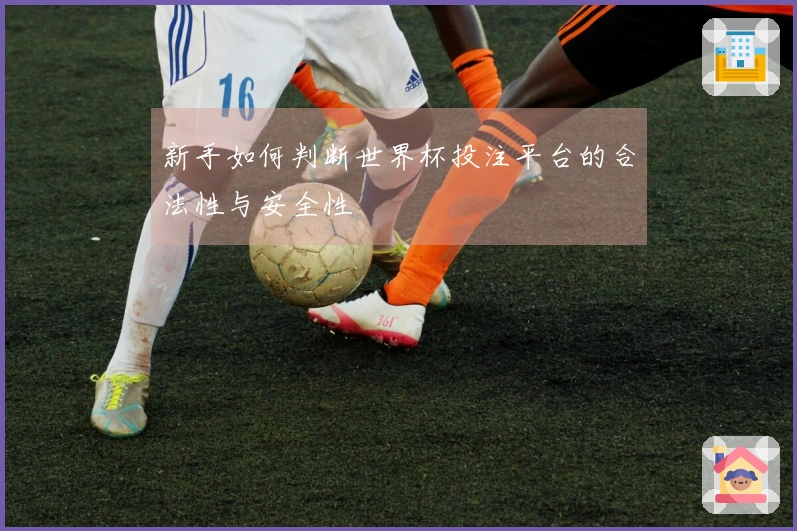 新手如何判断世界杯投注平台的合法性与安全性