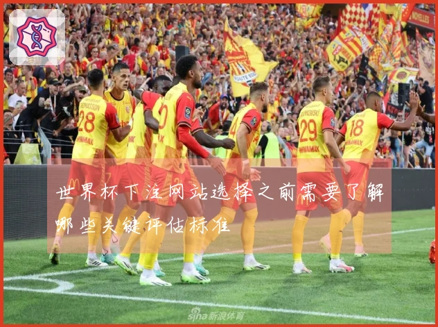 世界杯下注网站选择之前需要了解哪些关键评估标准