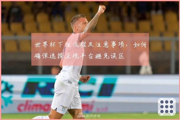 世界杯下注流程及注意事项，如何确保选择正规平台避免误区