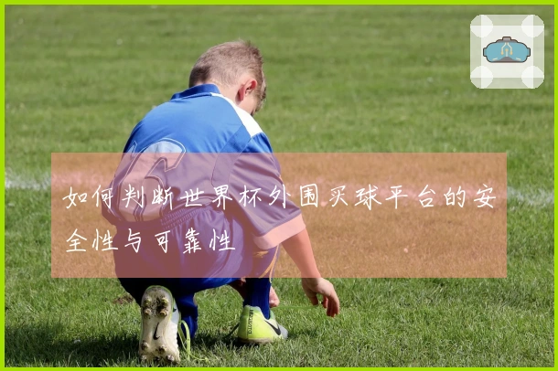 如何判断世界杯外围买球平台的安全性与可靠性