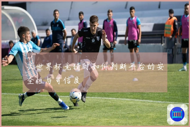 买世界杯竞猜时如何判断平台的安全性与可信度