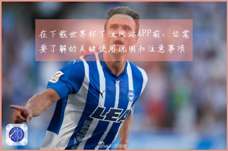 在下载世界杯下注网站APP前，你需要了解的关键使用说明和注意事项