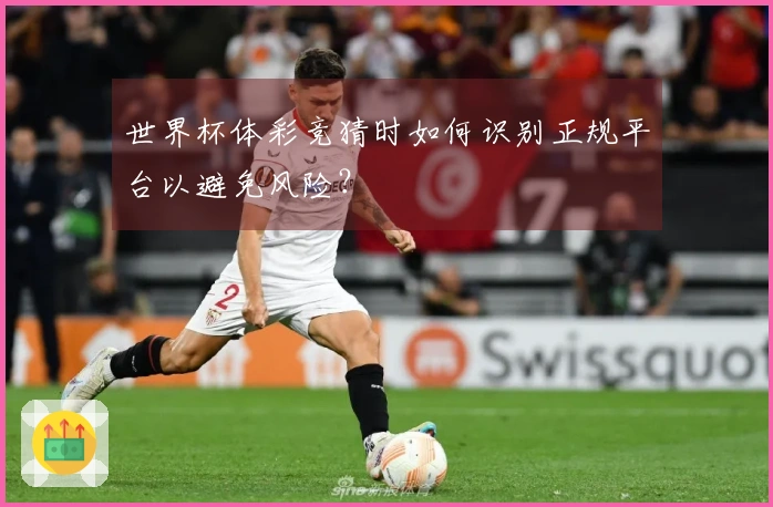 世界杯体彩竞猜时如何识别正规平台以避免风险？