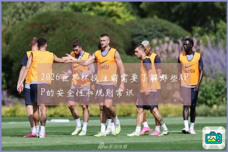 2026世界杯投注前需要了解哪些APP的安全性和规则常识