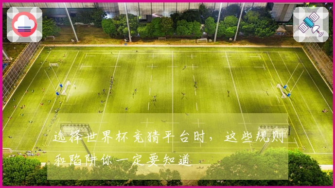 选择世界杯竞猜平台时，这些规则和陷阱你一定要知道