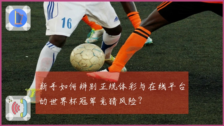 新手如何辨别正规体彩与在线平台的世界杯冠军竞猜风险？