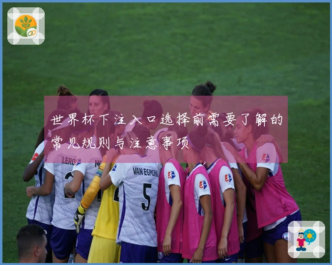 世界杯下注入口选择前需要了解的常见规则与注意事项