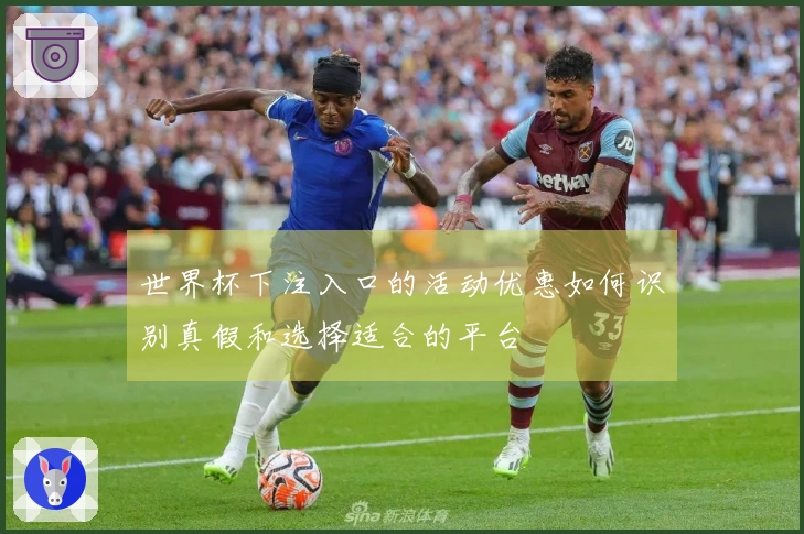 世界杯下注入口的活动优惠如何识别真假和选择适合的平台