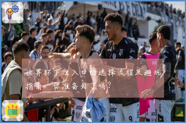 世界杯下注入口的选择流程及避坑指南，你准备好了吗？
