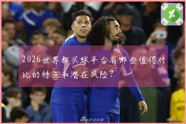 2026世界杯买球平台有哪些值得对比的特点和潜在风险？