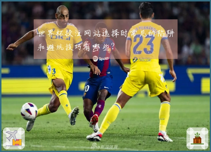 世界杯投注网站选择时常见的陷阱和避坑技巧有哪些？