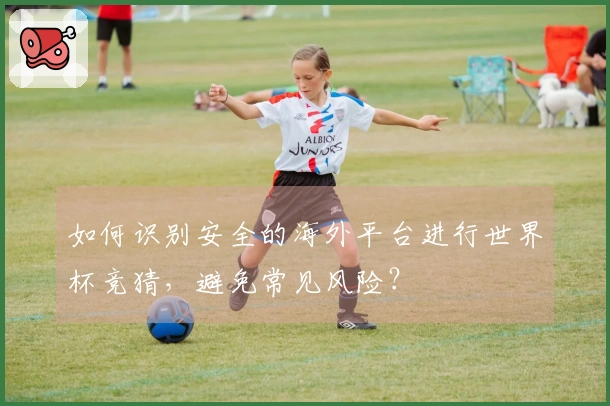 如何识别安全的海外平台进行世界杯竞猜，避免常见风险？