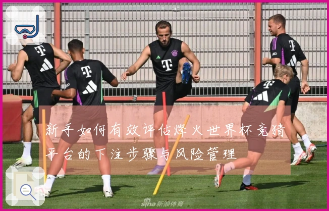 新手如何有效评估烽火世界杯竞猜平台的下注步骤与风险管理